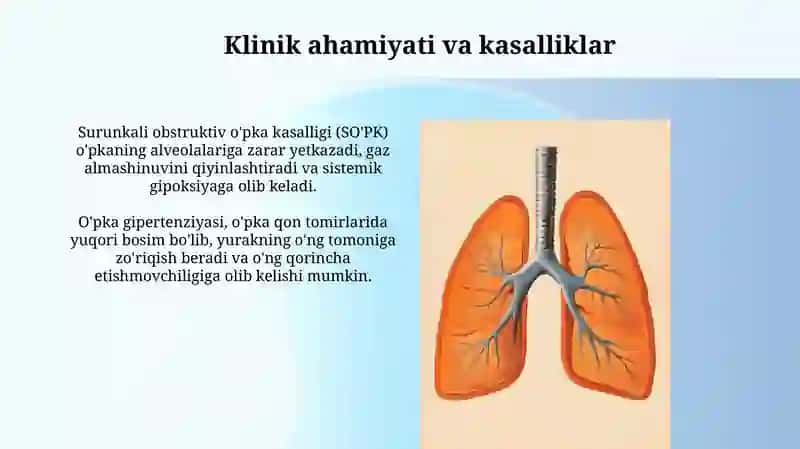 Sistem qon aylanishi 4