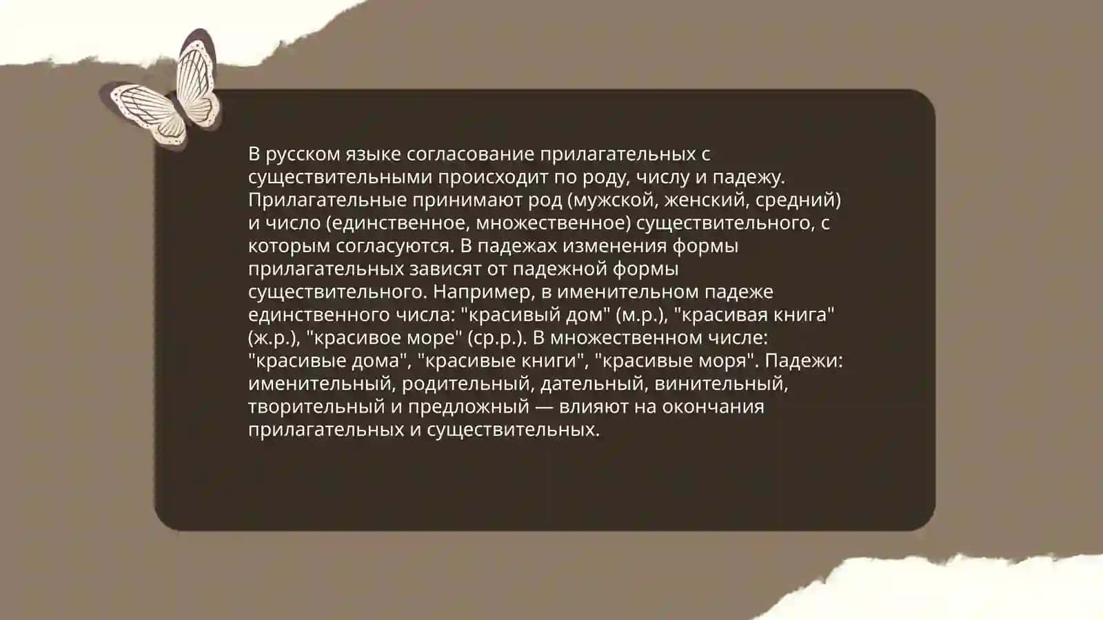 Имя прилагательное 4