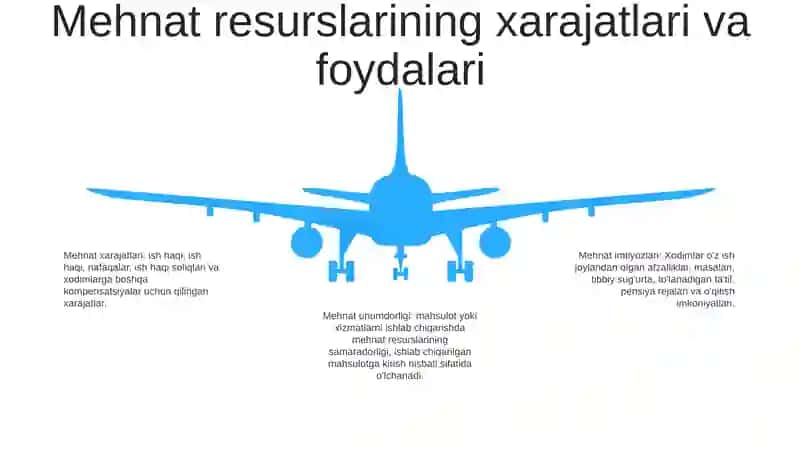 Mehnat Resurslari 4