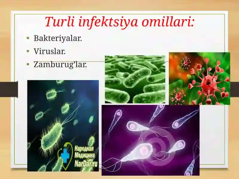 Bronxialastma 4