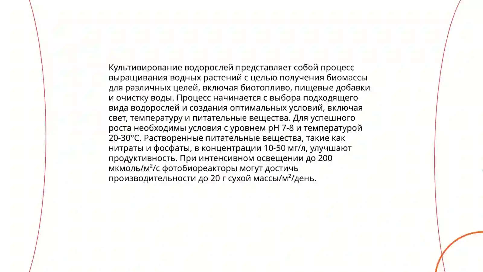 Технология получения биодизеля из водорослей 4