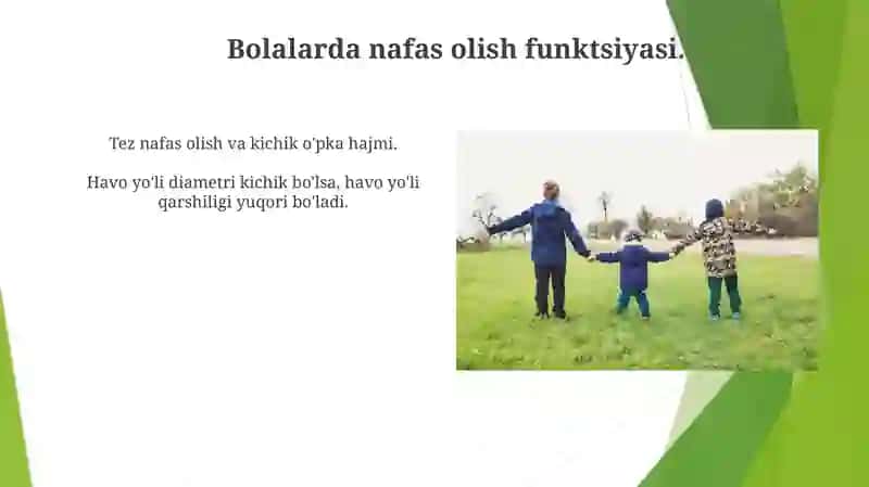 Bolalarda traxeya, bronx, o’pkalarning anatomik fiziologik tuzilishi 4