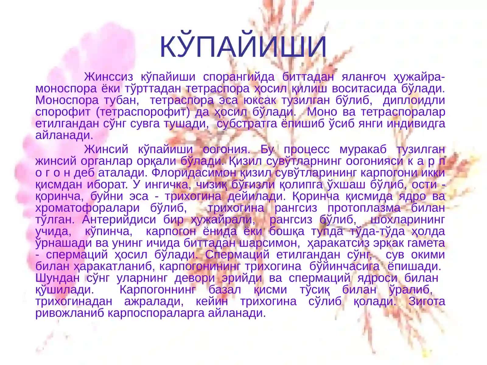 Қизил сувўтларининг умумий тавсифи 4