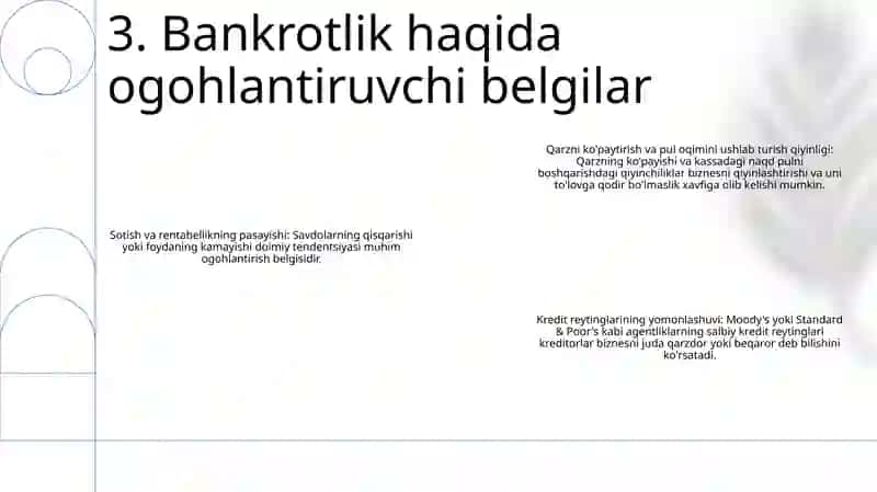 Biznes Faoliyatida Bankrotlik 4