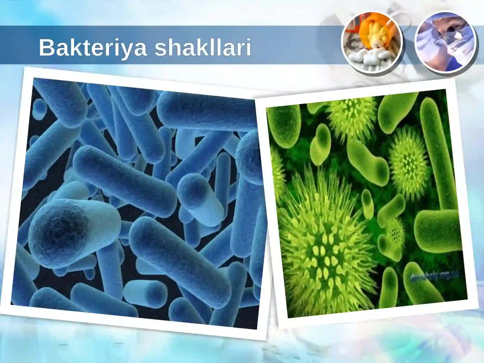 Mikroorganizmlar vа biotsenosfera 4