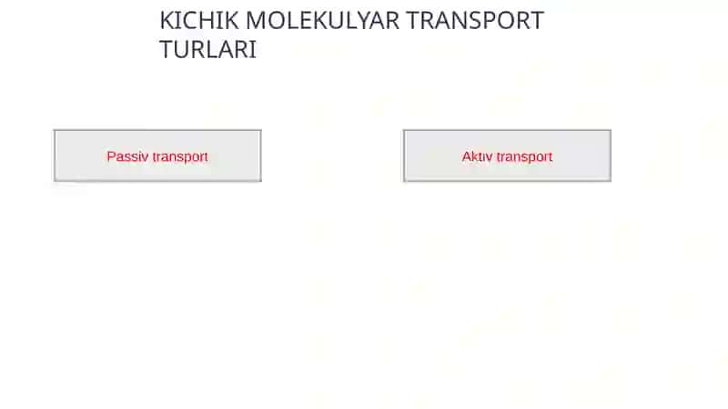 MEMBRANA  TRANSPORTI 4
