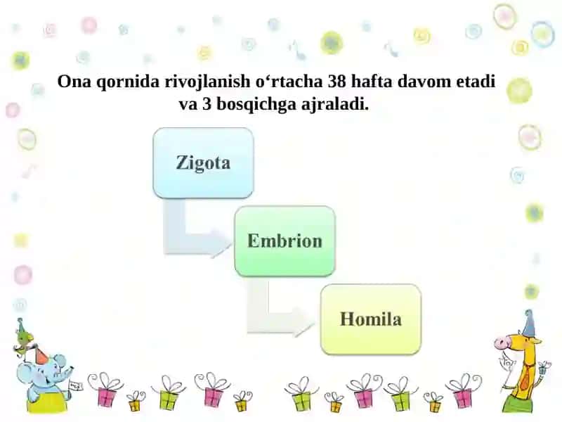 Perinatal va chaqaloqlik davri psixofiziologik rivojlanish 4