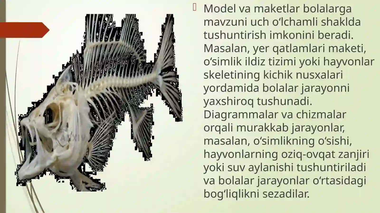 Boshlangʻich ta'lim tabiiy fanlarini oʻqitish vositalari va texnologoyalari 4