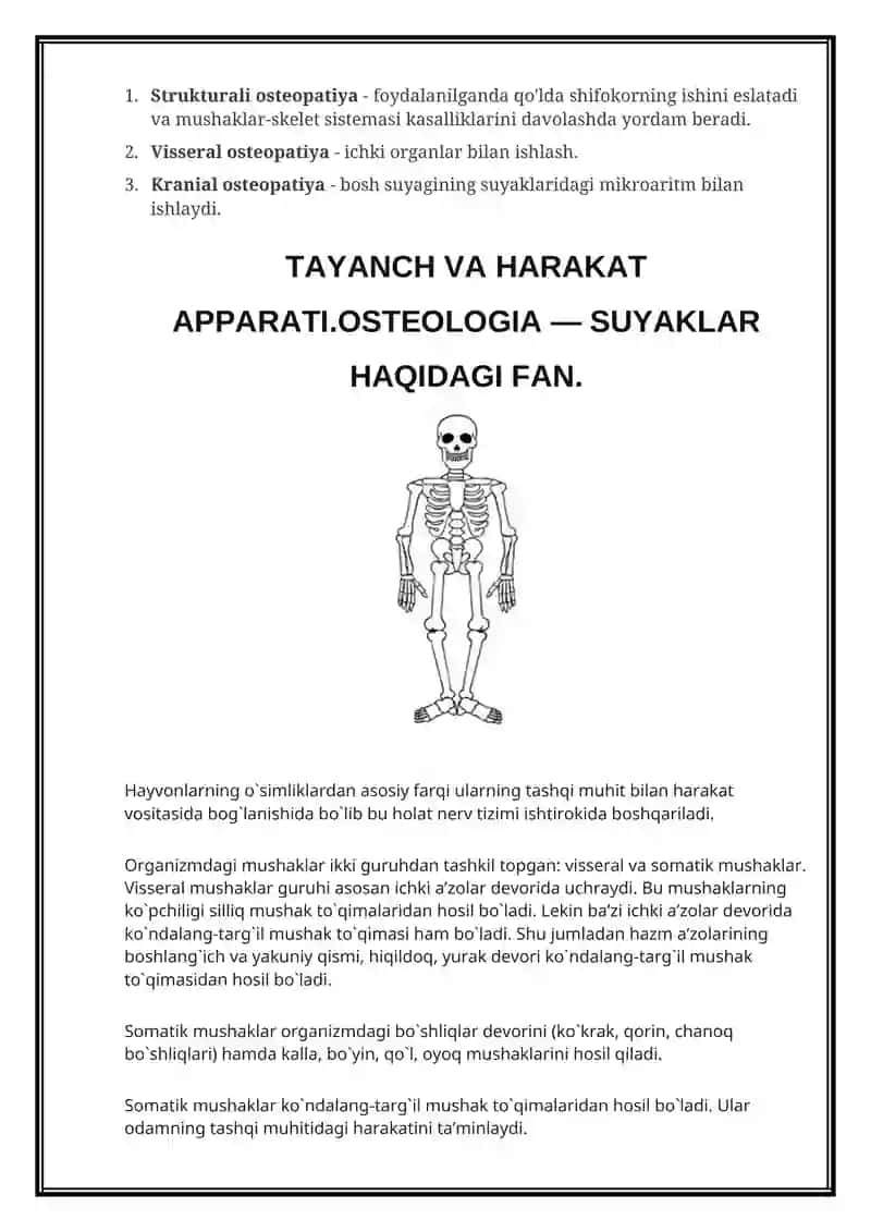 Osteologiya haqida ma’lumot 4
