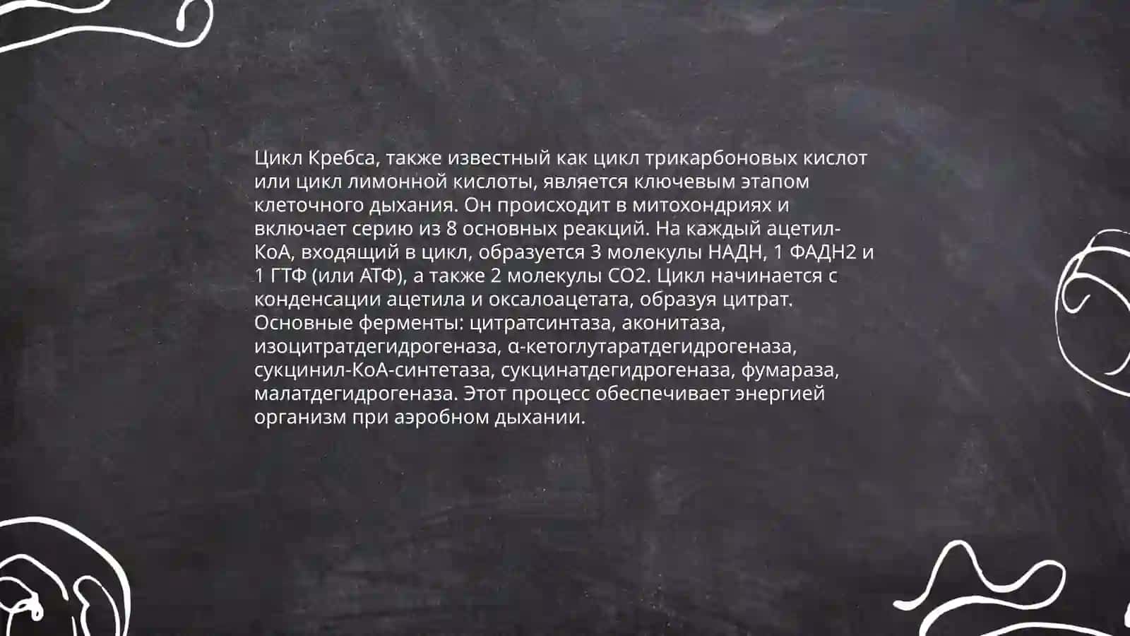 Катаболический метаболизм. Способы и виды производства энергии микробной клеткой 4