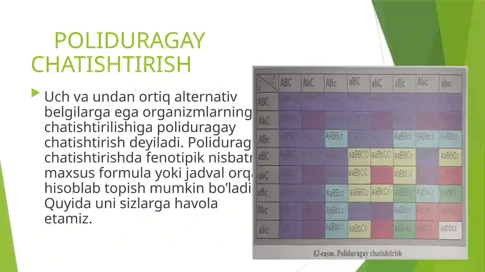 Di va Poliduragay chatishtirish 4