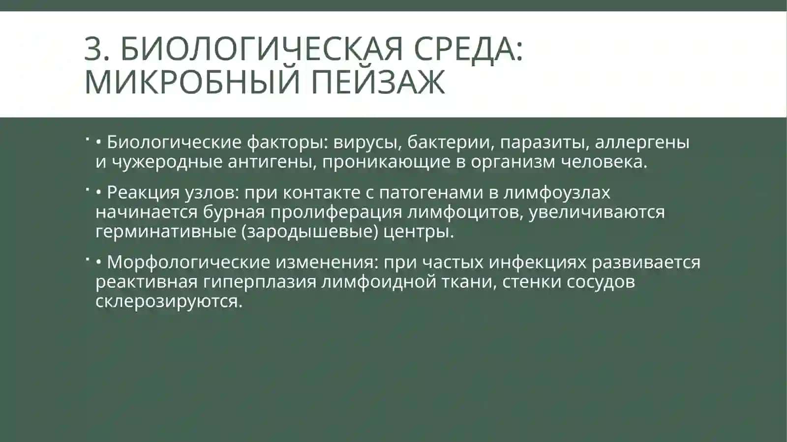 Презентация: Влияние социальной и биологической среды на развитие и структуру лимфатических сосудов(15слайдов, PPTX) 4