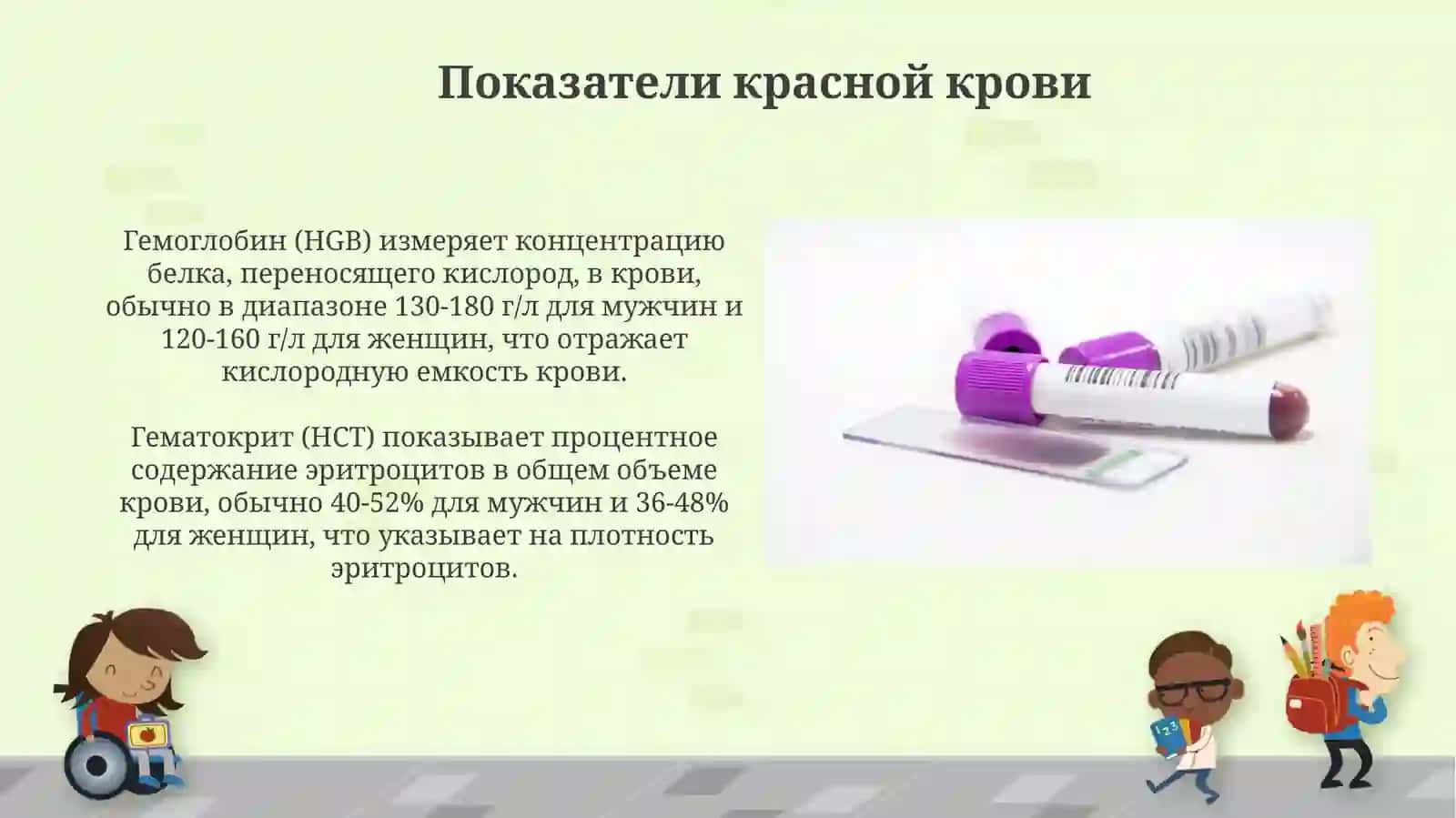 Общий анализ крови 4