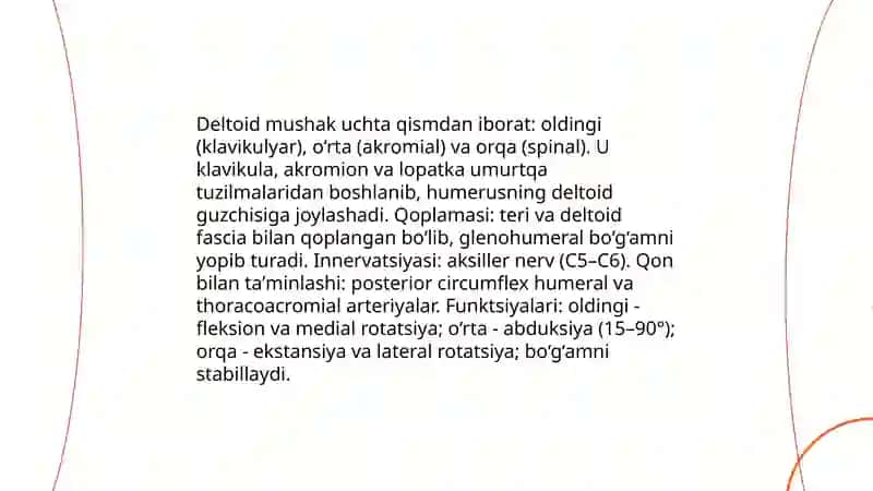 Yelka kamari va yelka mushaklari.Bilak mushaklari.Qo‘l kafti mushaklari 4