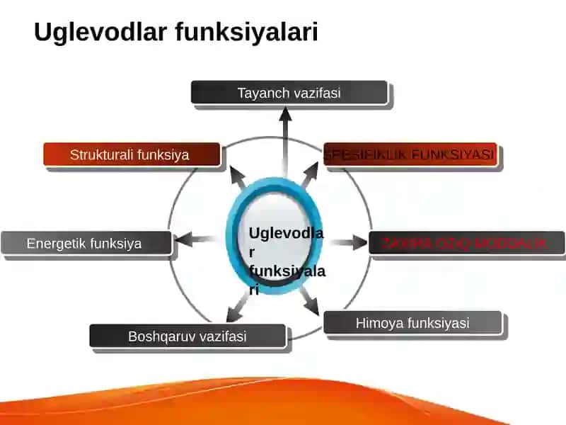 Uglevodlar va glukoza. Glikoliz, glyukoneogenez va pentozofosfatli yo’li 4
