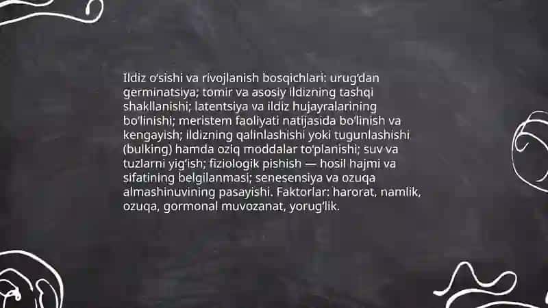 Ildizmevali sabzavotlarning biologik xususiyatlari 4
