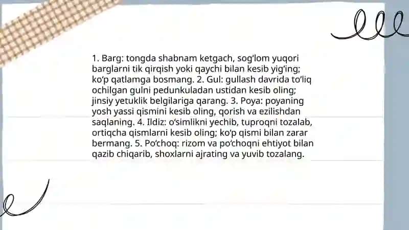 Dorivor o‘simliklarni yig‘ish, quritish va saqlash 4