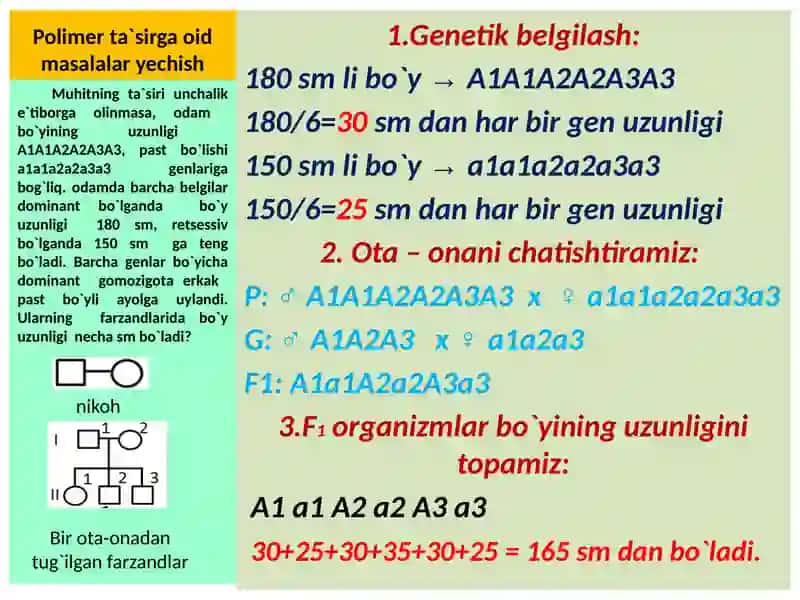 Polimer ta'sirga oid masalalar yechish 4