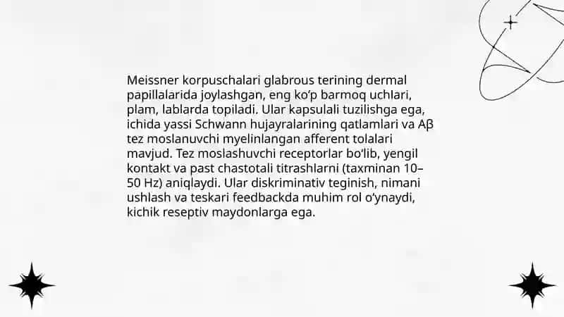 Taktil va harorat retsepsiyasi 4