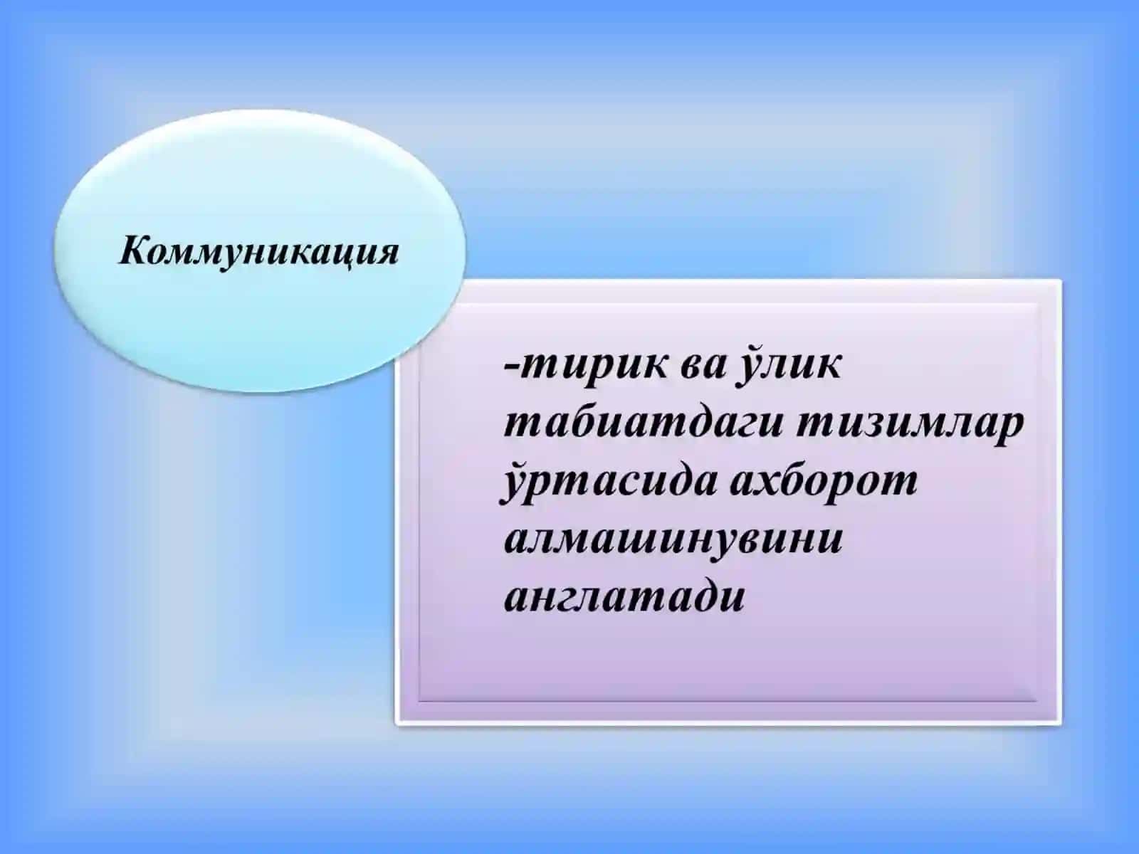 Мулоқот 4