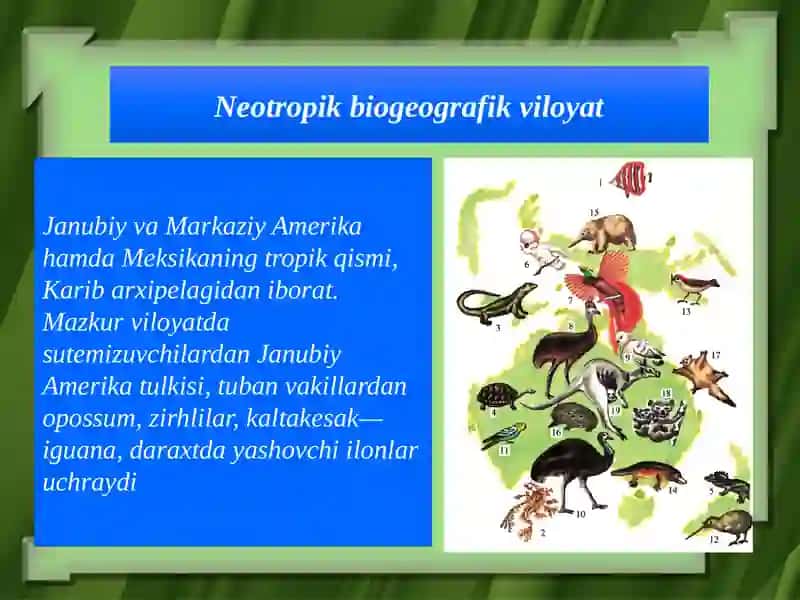 Evolutsiyani isbotlashda biogeografiya fanidagi daliyilar 4