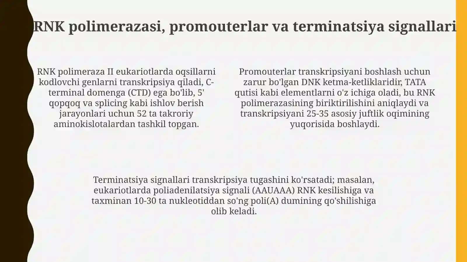Transkripsiya, splaysing va protsessing 4