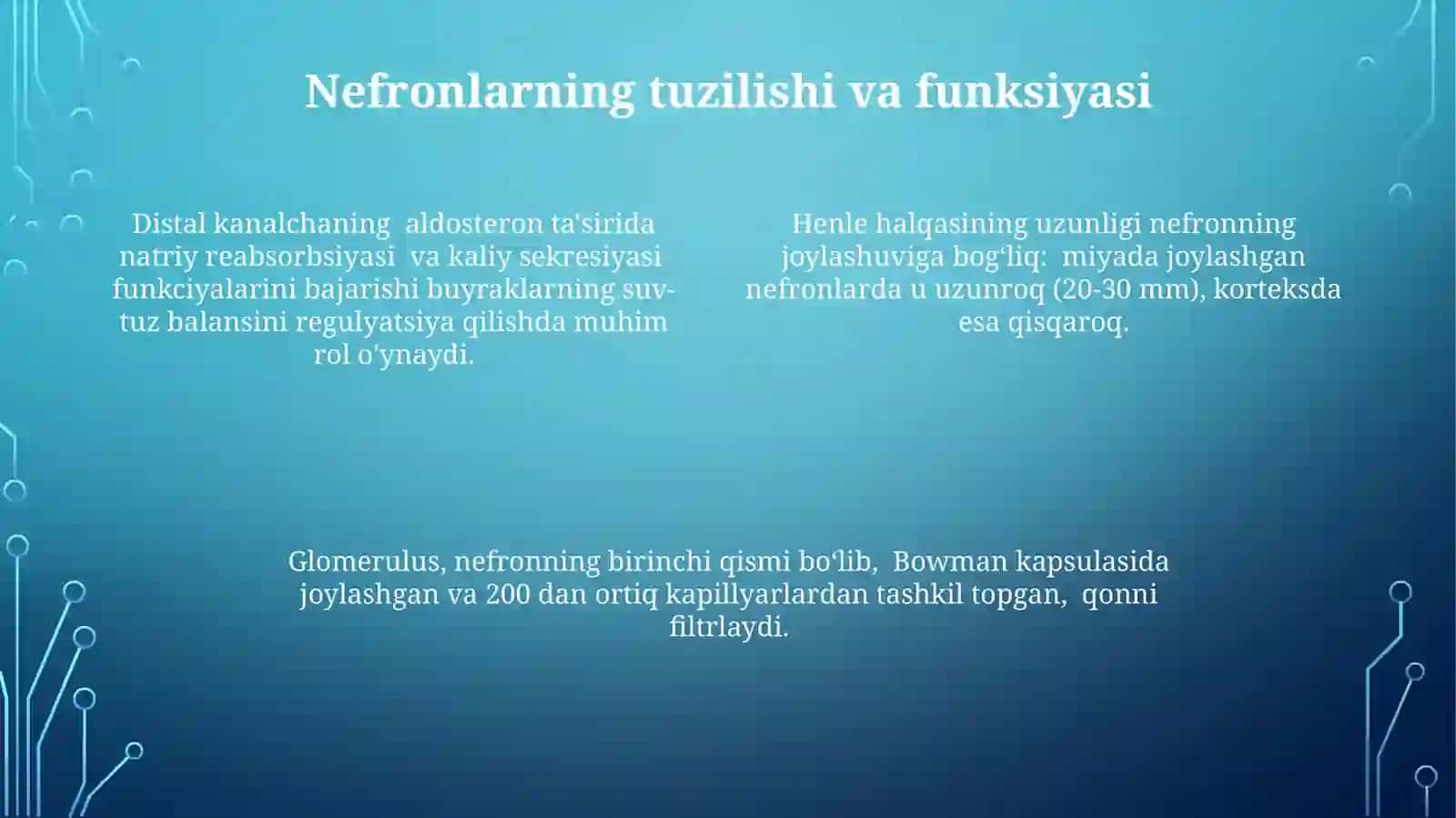 Buyraklar anatomiyasi va fiziologiyasi 4