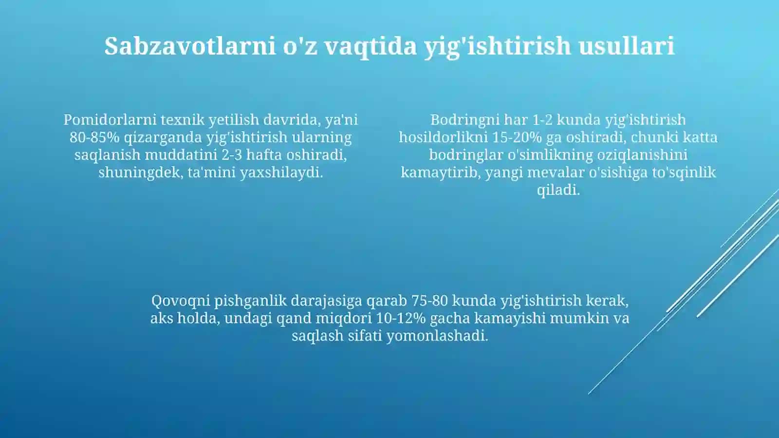 Kartoshka, sabzavot, poliz maxsulotlarini yigib-terib olish 4