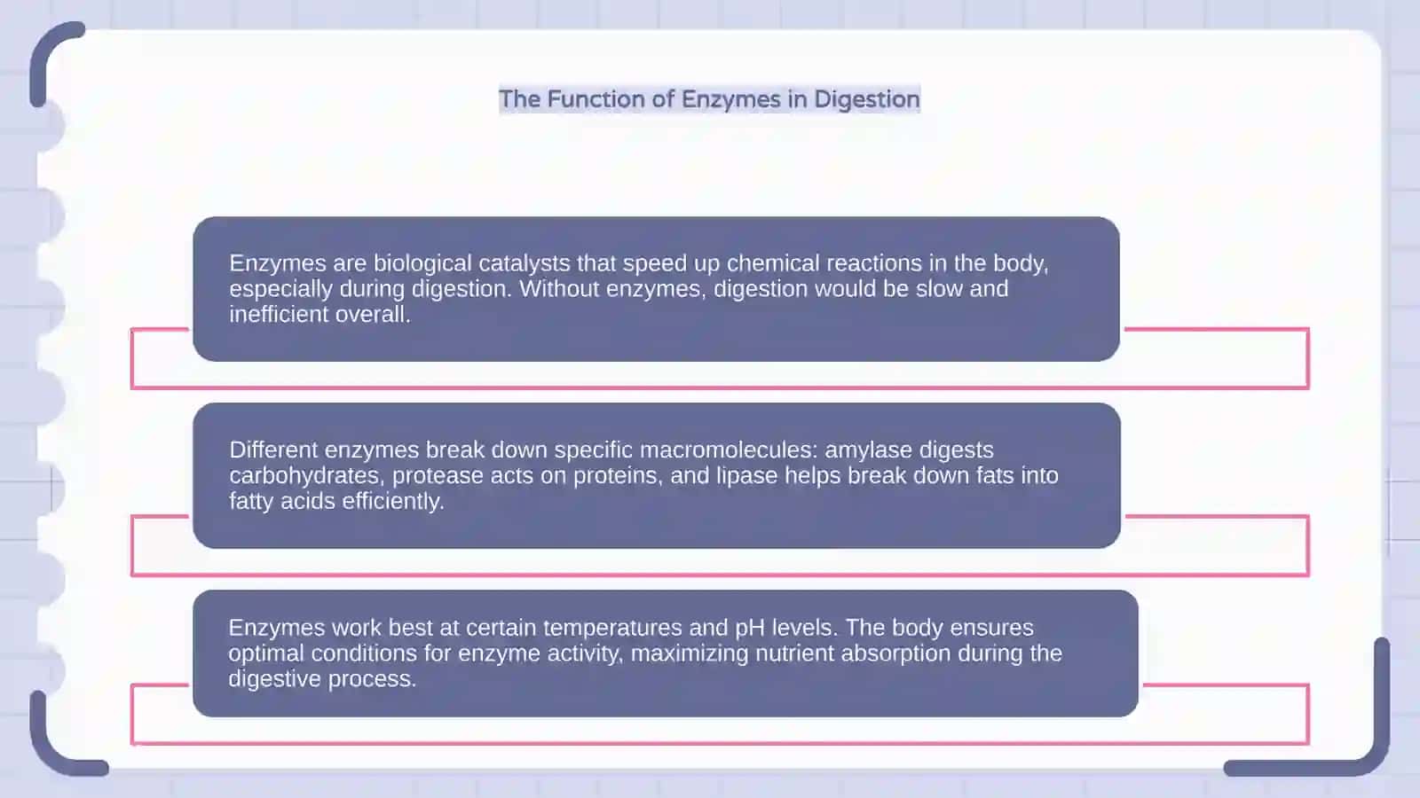 The Function of the Nervous System 4