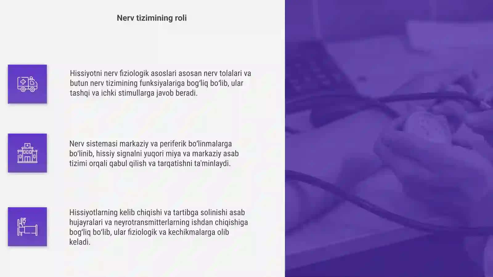 Hissiyotni nerv fiziologik asoslari 4