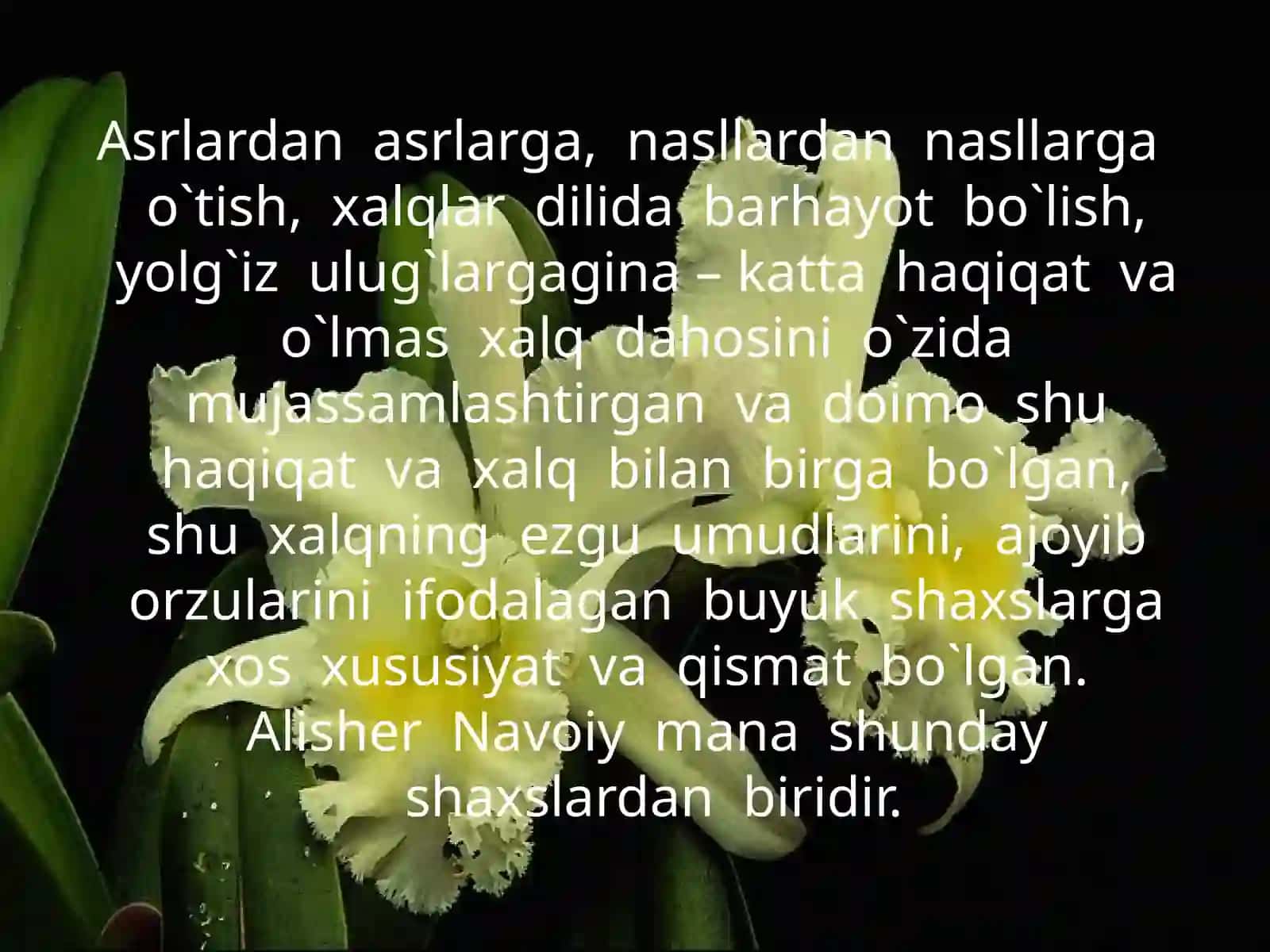8-sinf Adabiyot Alisher Navoiy ruboiylar mavzuda dars taqdimot 4