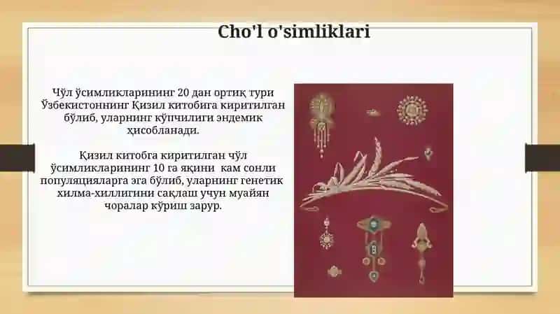 Oʻzbekiston Respublikasi Qizil Kitobiga kiritilgan oʻsimliklar 4