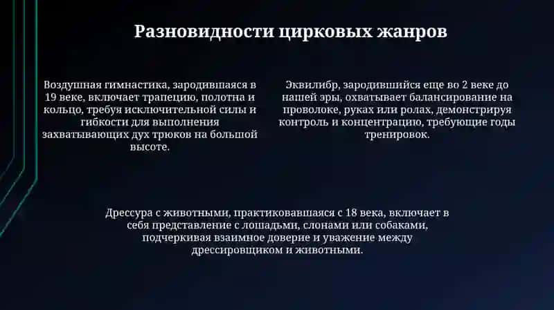 Цирковое исскуство 4
