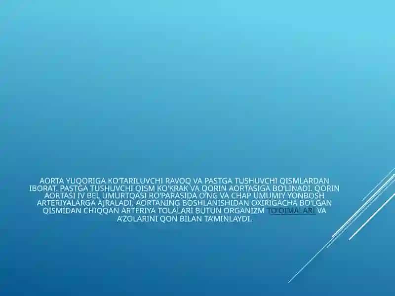 Aorta va aorta ravogi 4