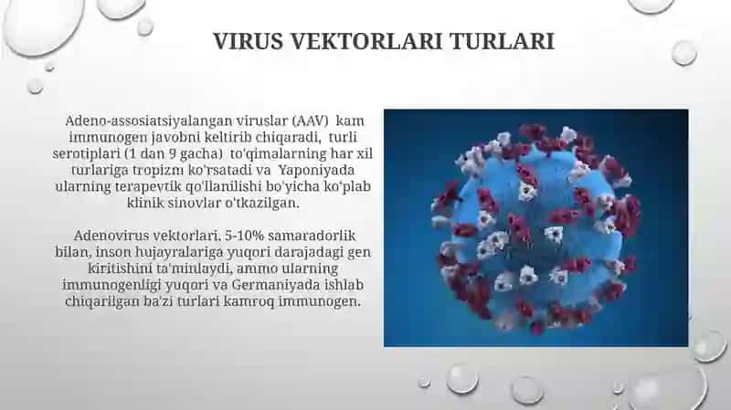 Viruslarning gen muhandisligida qóllanilishi 4