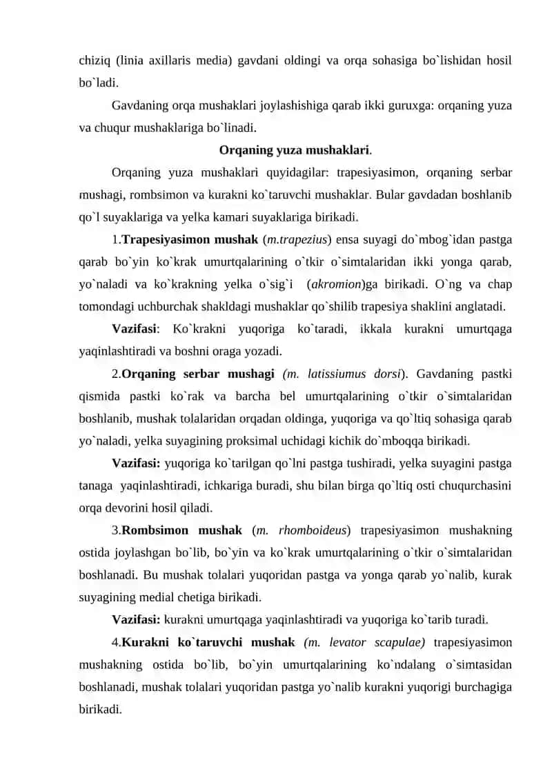 Mushaklar haqida umumiy ma`lumot 4
