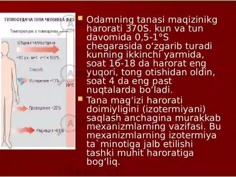 Issiqlik almashinuvi fiziologiyasi.Termoregulyatsiya 4