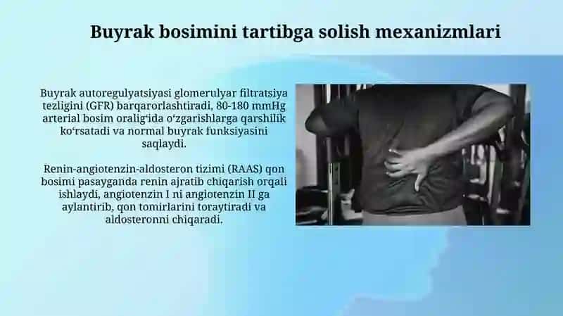 Buyraklar bosimi fiziologiyasi 4