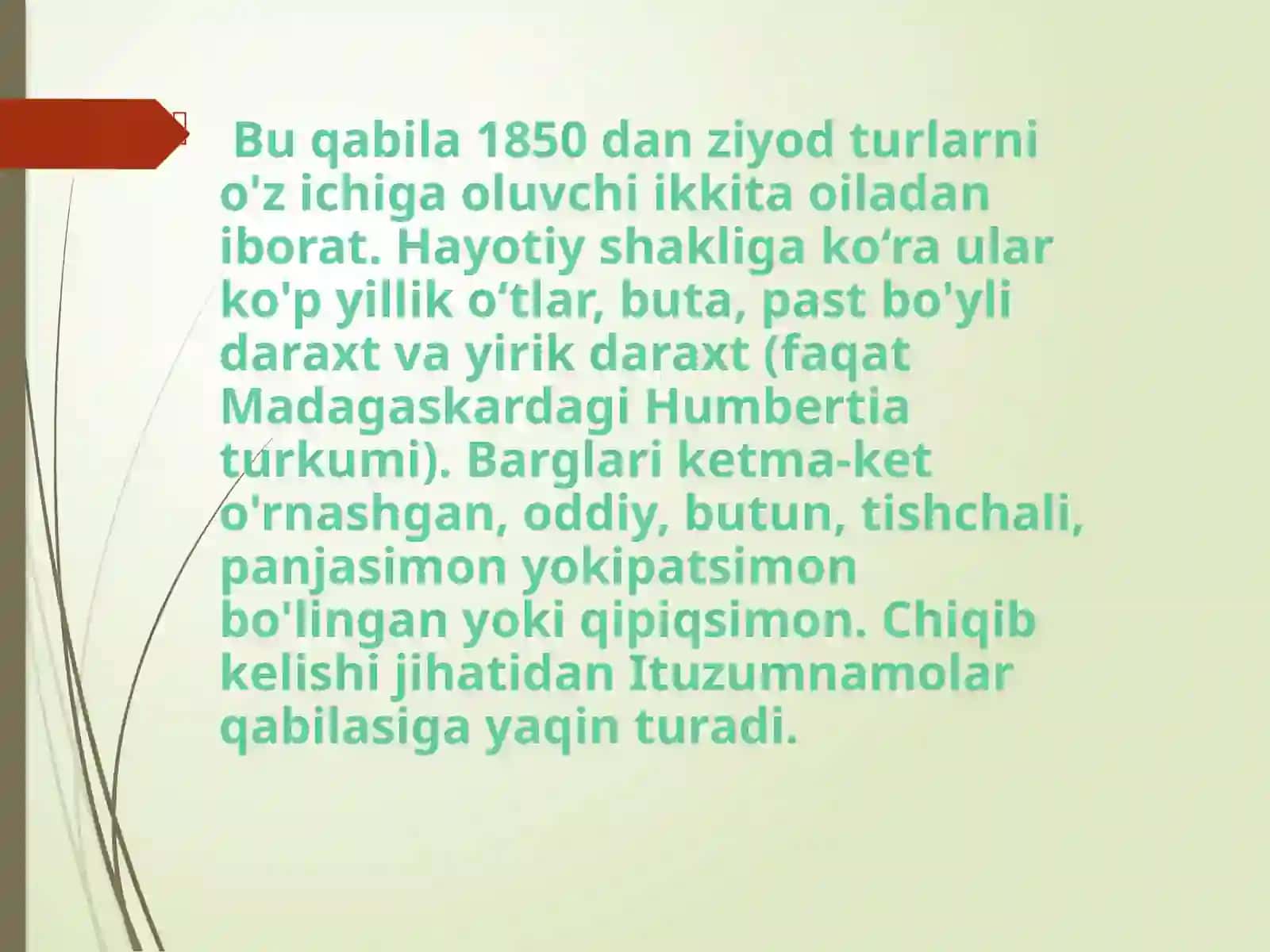 Pechaknomalar qabilasi (Convolvulales) 4