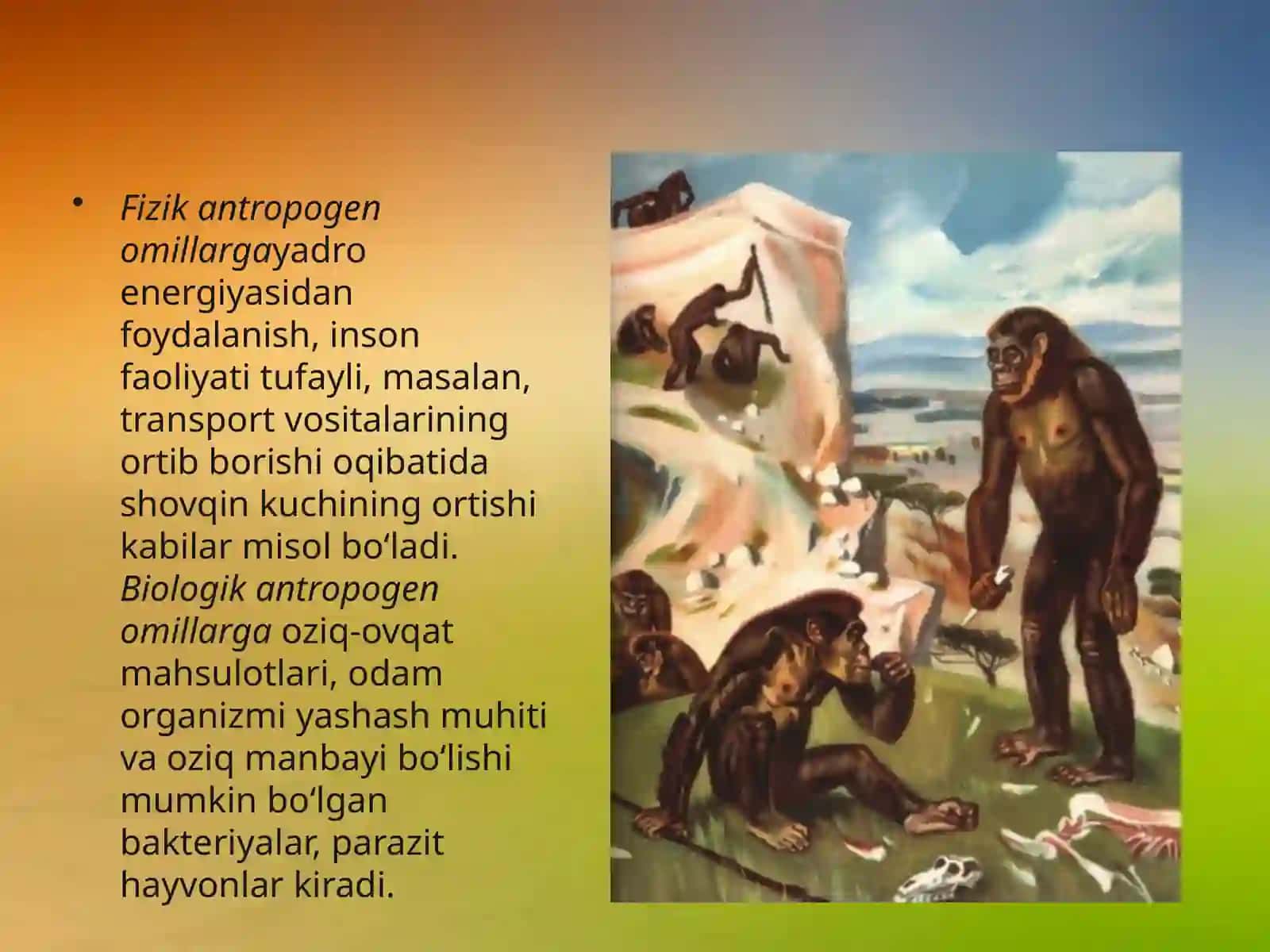 11-sinf Biologiya dars ishlanma. Antropogen omillar 4