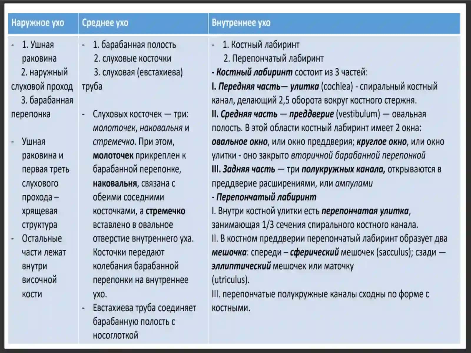 Органы слуха и равновесия 4