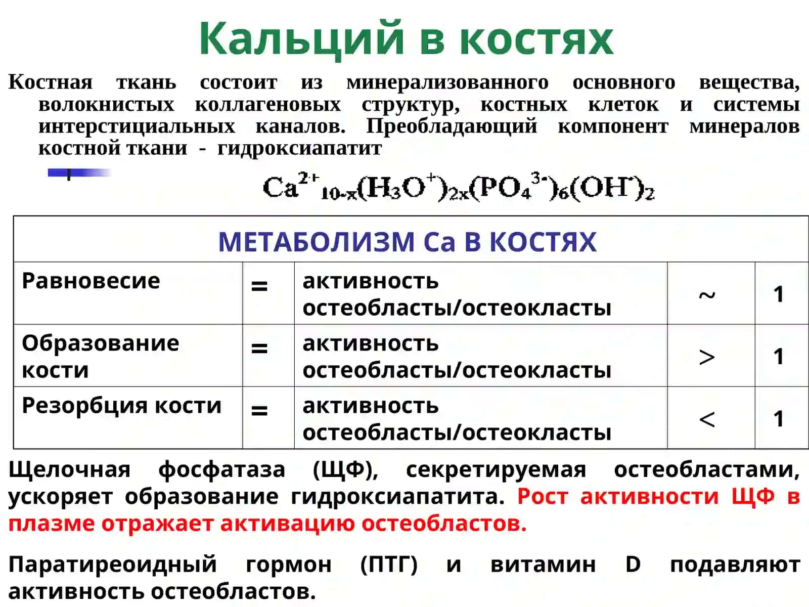Обмен кальция в организме 4