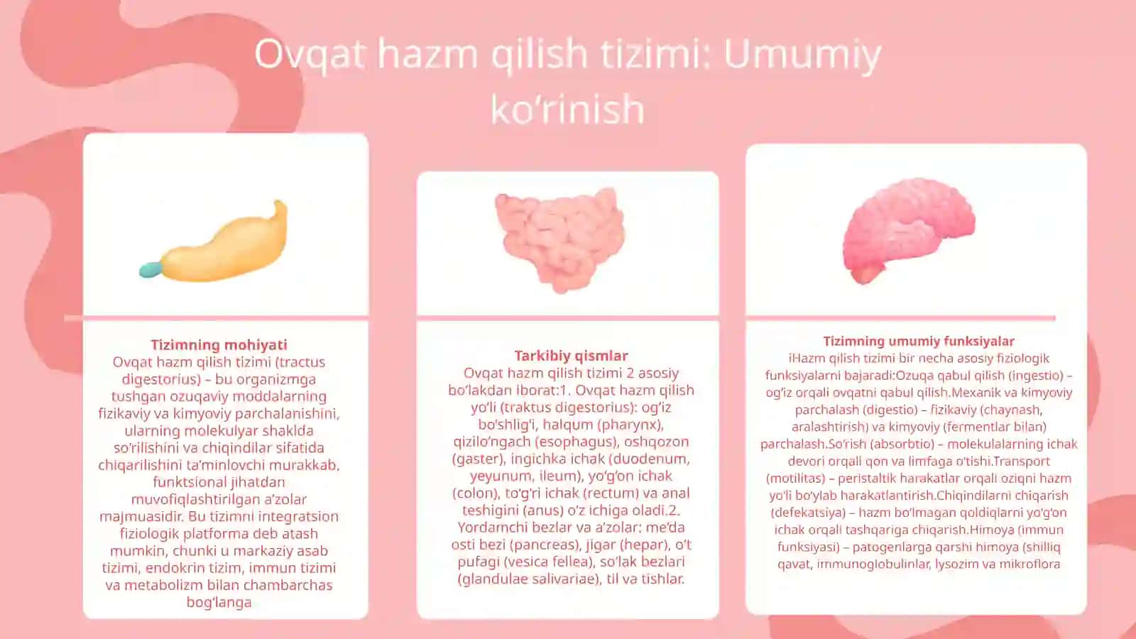 OVQAT HAZM QILISH FIZIOLOGIYASI 4