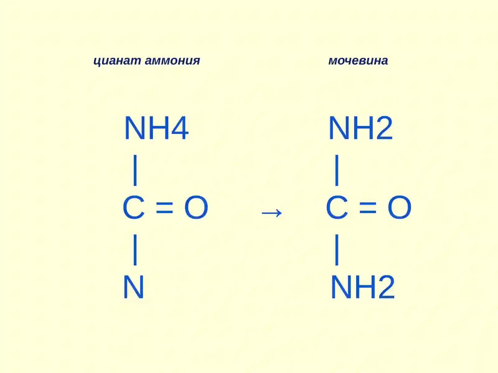 Неорганикаибиоорганика 4