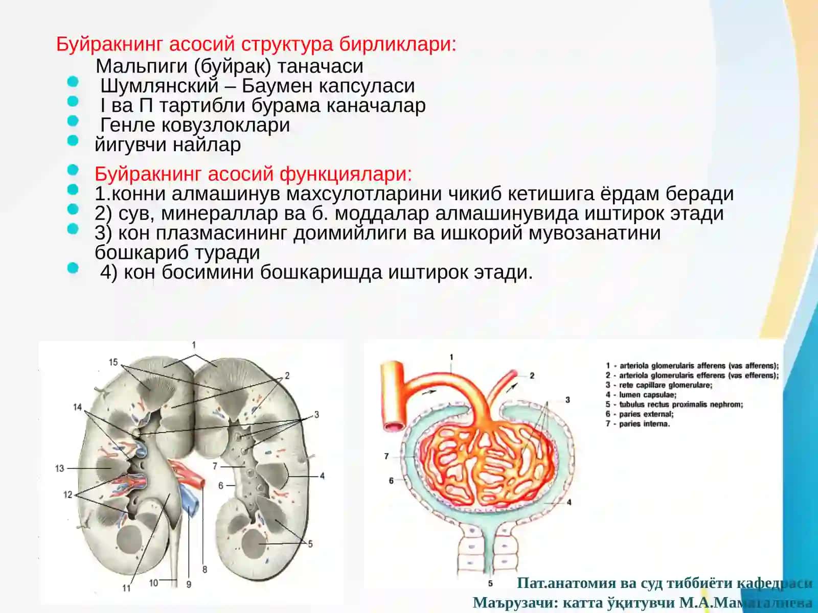 Буйрак касалликлари. Ривожланиш аномалиялари. Гломерулопатиялар. 4