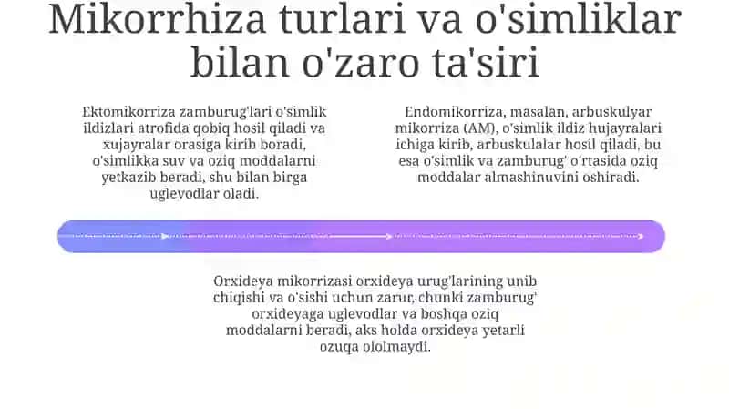 Mikorriza va ildiz metamorfozi 4