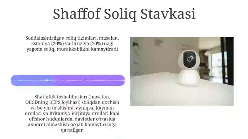 Soddalashtirilgan soliqqa tortish tizimi 4