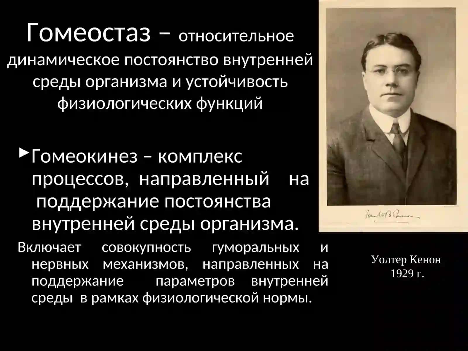Кровь – это зеркало здоровья организма 4