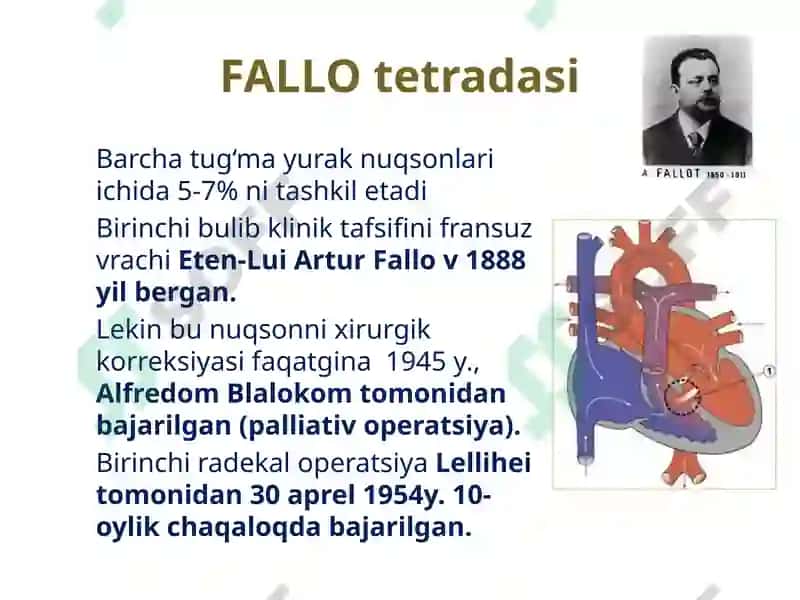 Yurak nuqsonlari rivojlanishi etiologiyasi patogenezi va davolash usullari miokard va miokardiodistrofiyalarni davolashda qoʻllaniladigan dori vositalarining farmakodinamikasi 5