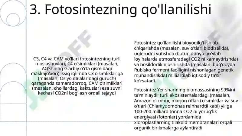 Oʻsimliklarda uglevodlar sintezi 5